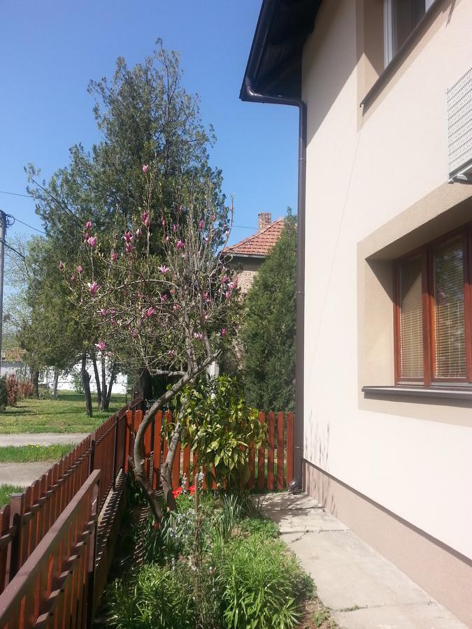 Sweet Dreams Apartment Arandjelovac Bagian luar foto